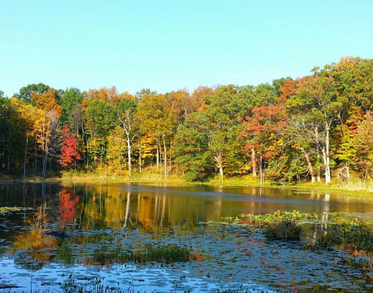 Chain O’ Lakes State Park, Indiana, USA